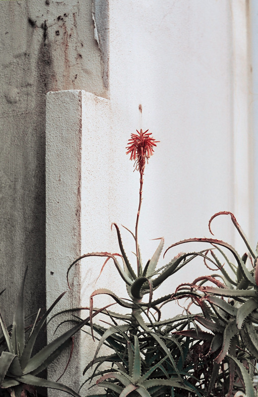 Archillect ID 368024