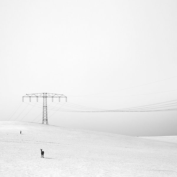 Archillect ID 368222
