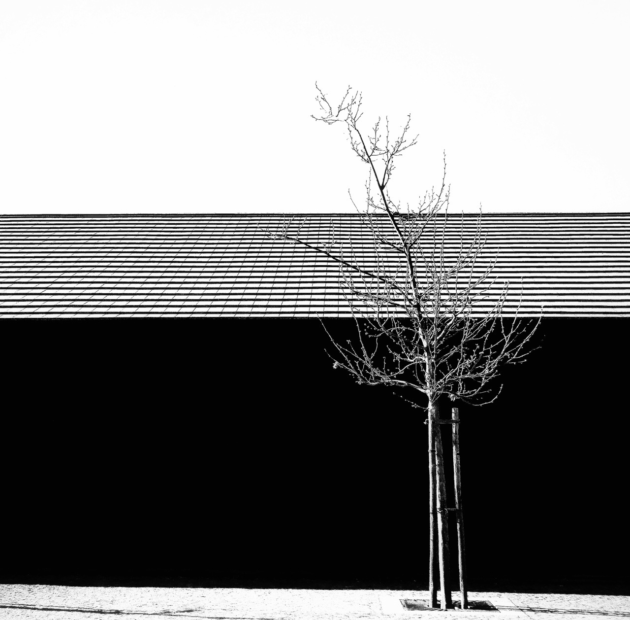 Archillect ID 368296