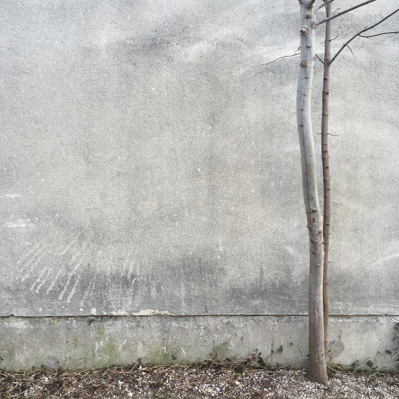 Archillect ID 368715