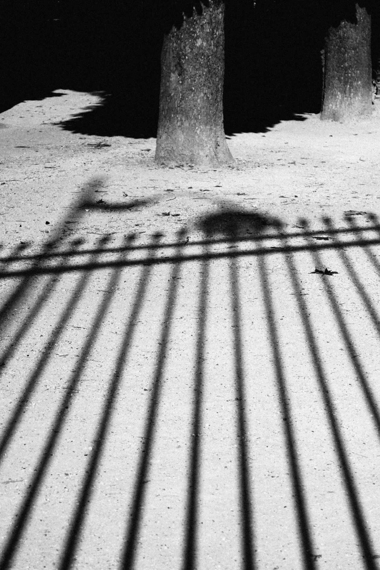 Archillect ID 368906