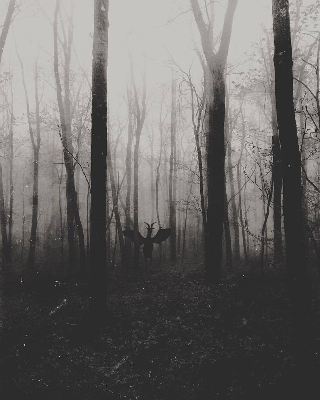 Archillect ID 368917