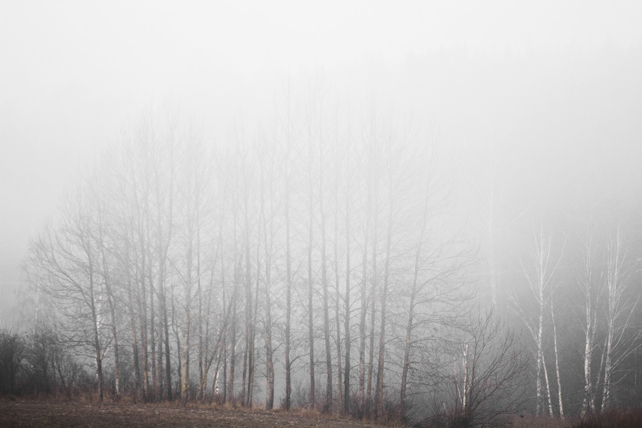 Archillect ID 369032