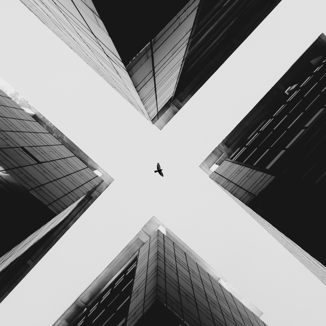 Archillect ID 369559