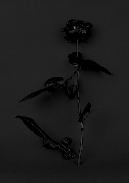 Archillect ID 369691