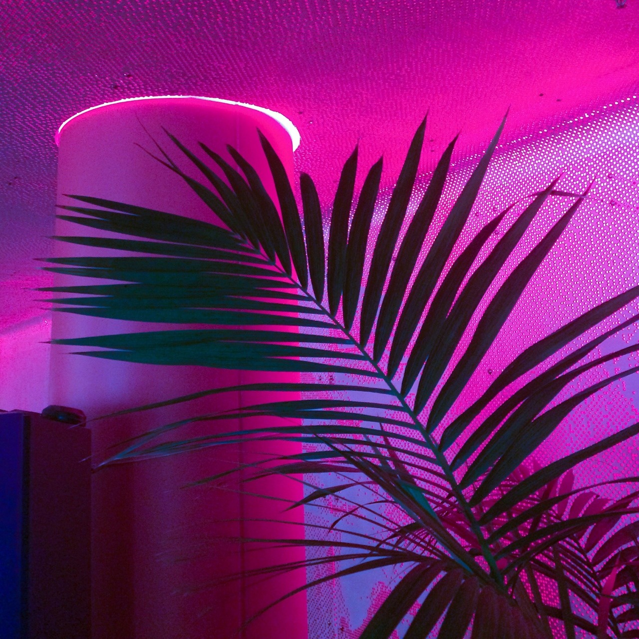 Archillect ID 369703