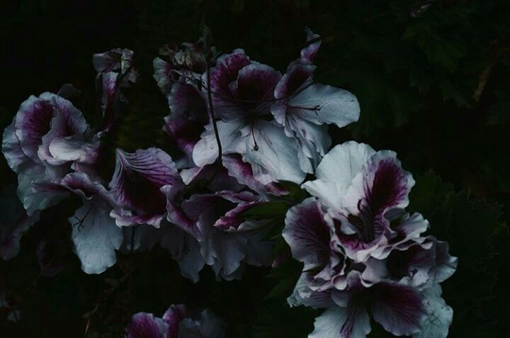 Archillect ID 369728