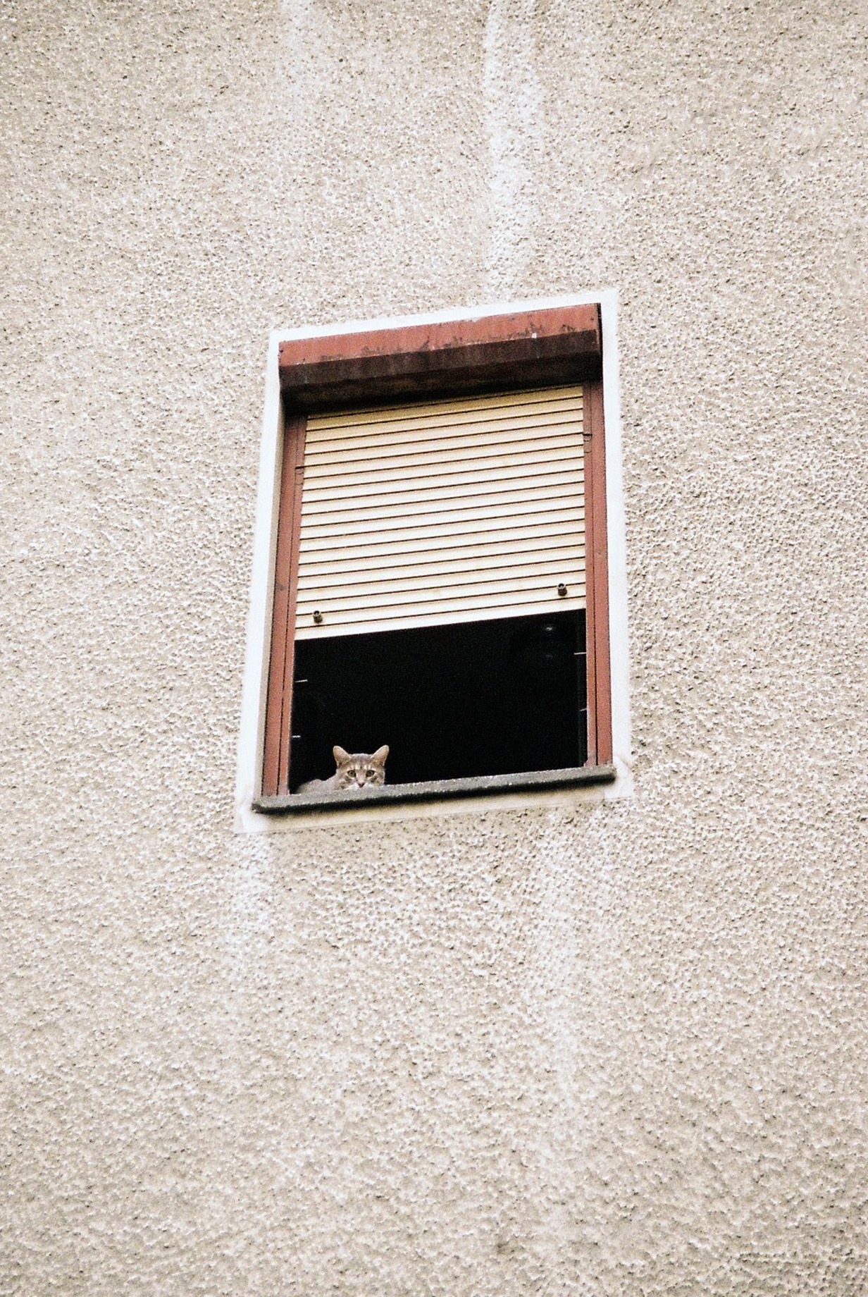 Archillect ID 369819