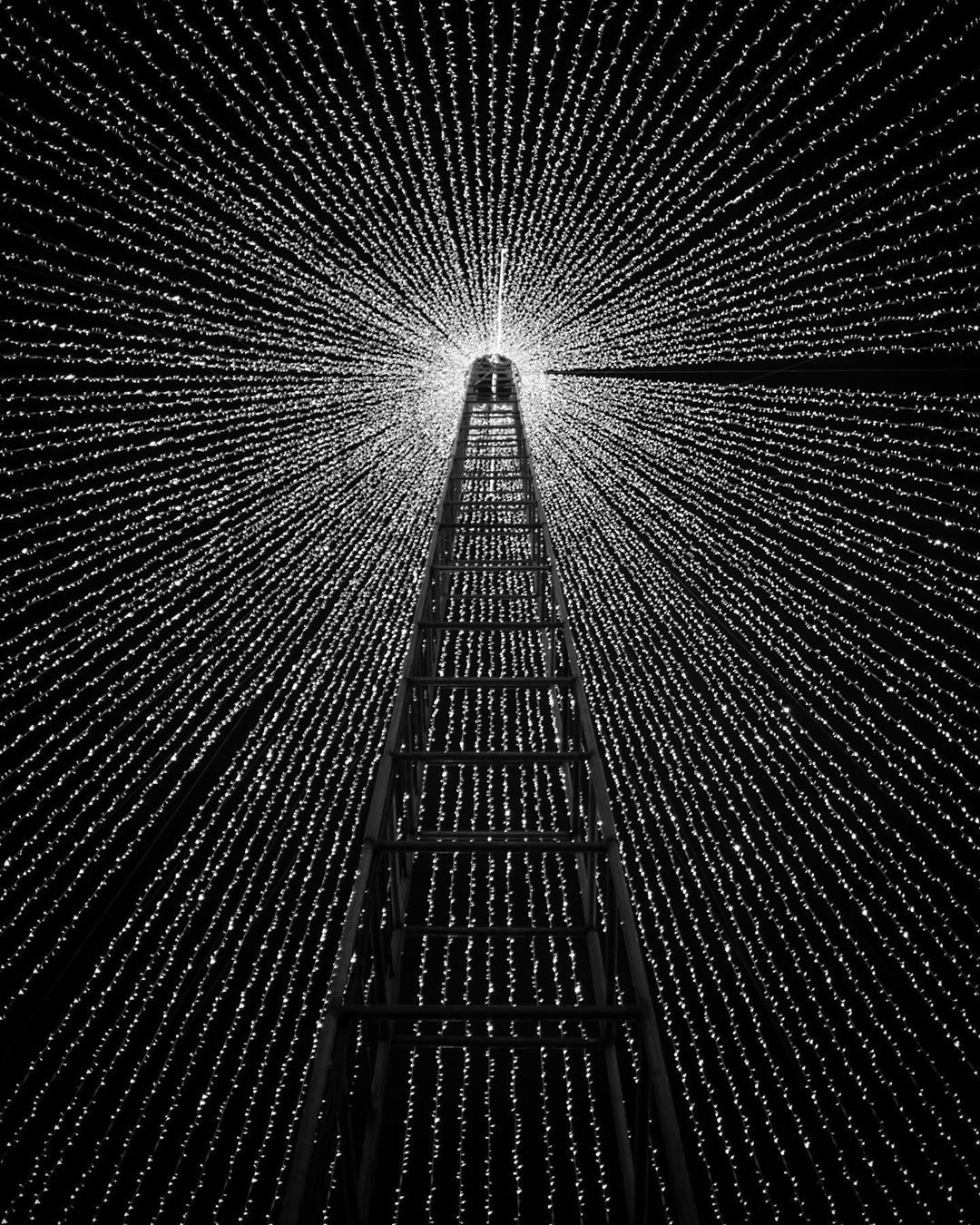 Archillect ID 370044