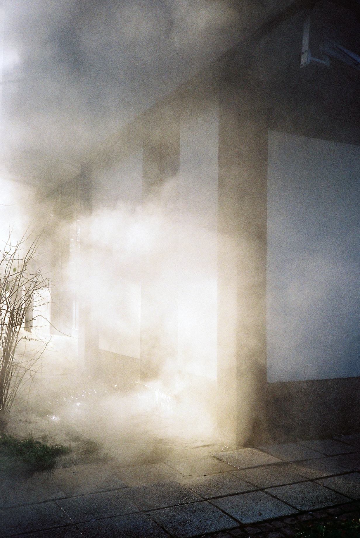 Archillect ID 370088