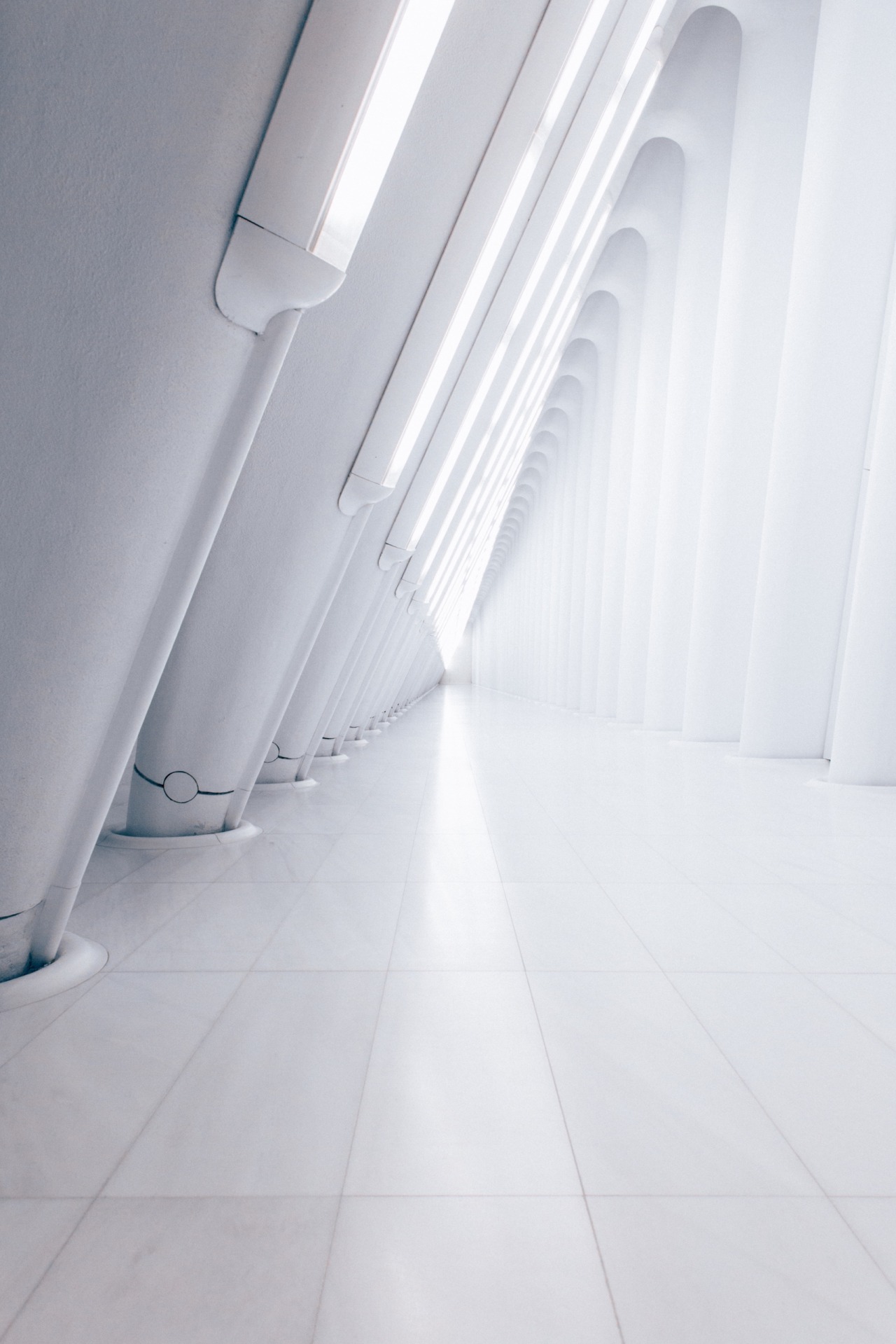 Archillect ID 370256