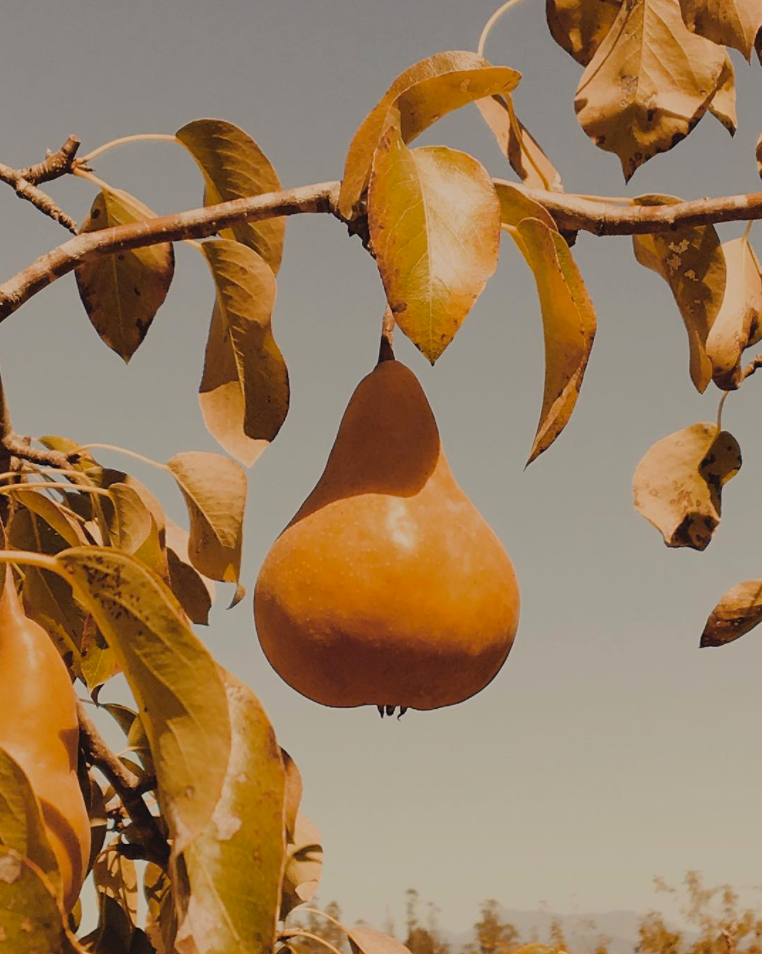 Archillect ID 370270