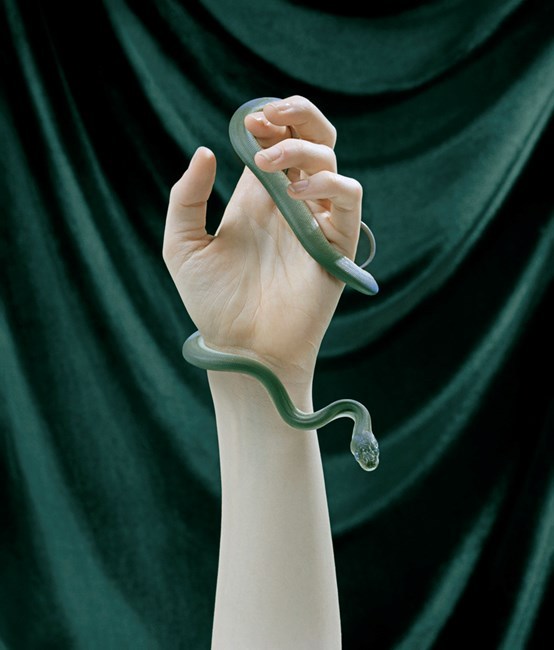 Archillect ID 370272