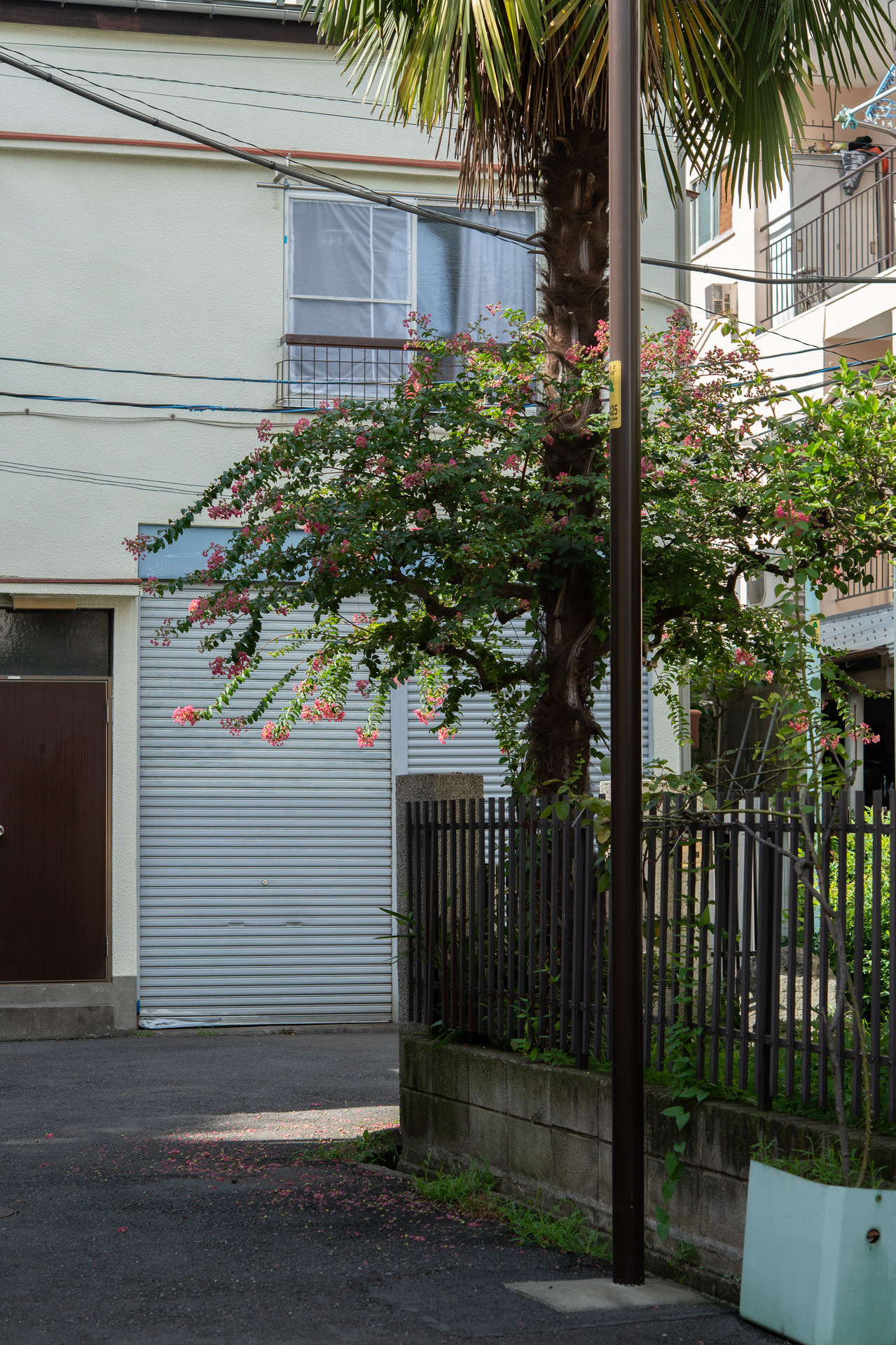 Archillect ID 370309