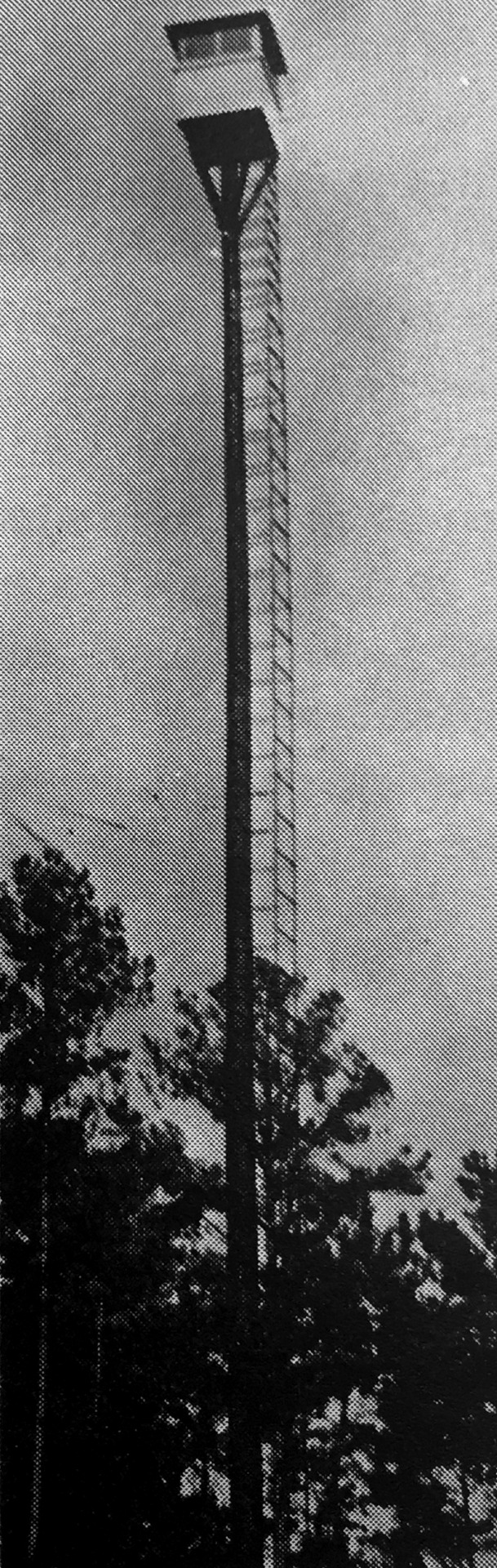 Archillect ID 370316