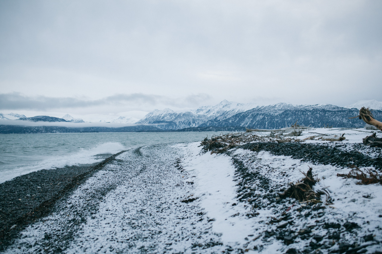 Archillect ID 370338