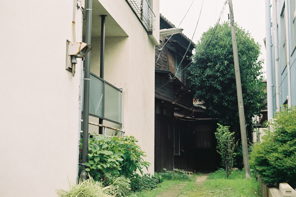 Archillect ID 370355