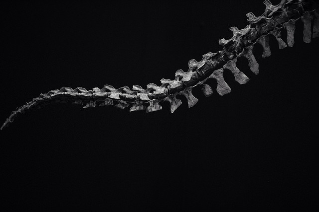 Archillect ID 370375