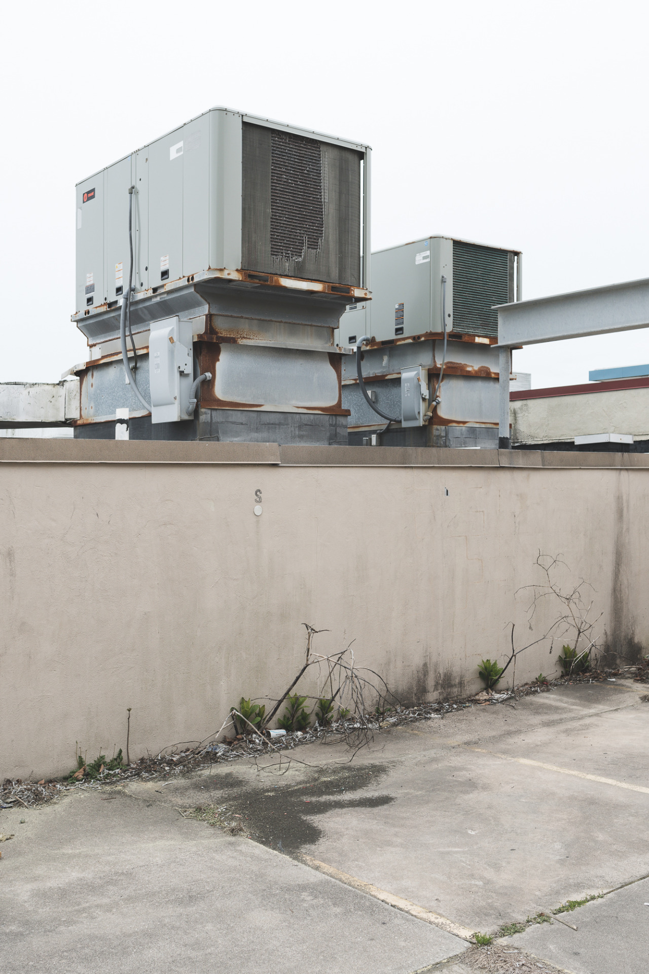 Archillect ID 370378