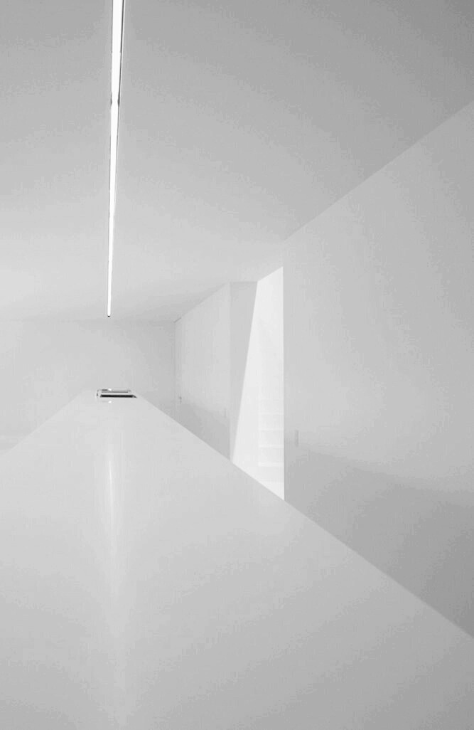 Archillect ID 370437