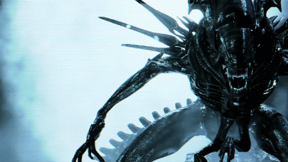 Archillect ID 370445