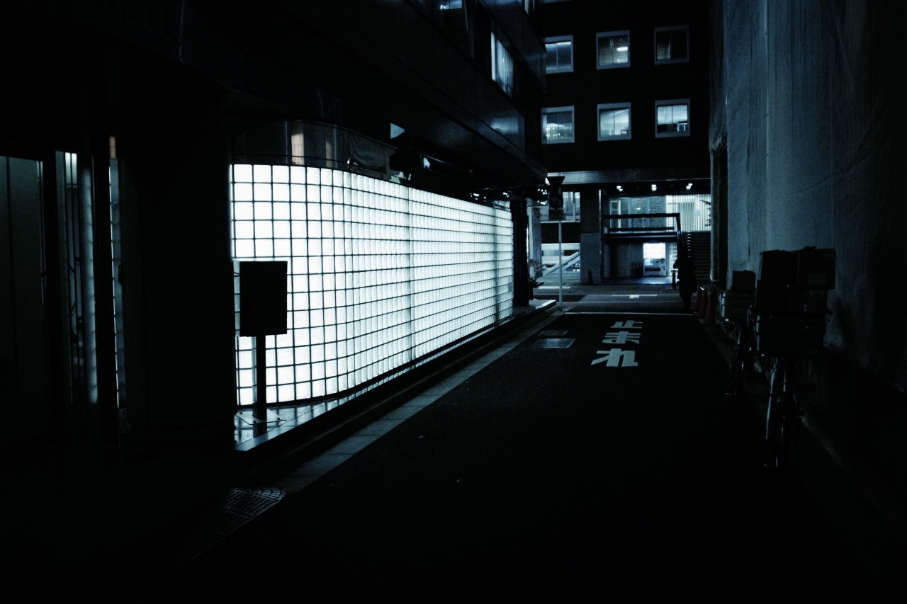 Archillect ID 370455