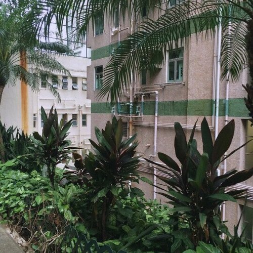 Archillect ID 370457