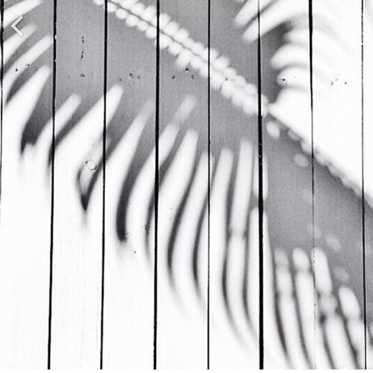 Archillect ID 370485