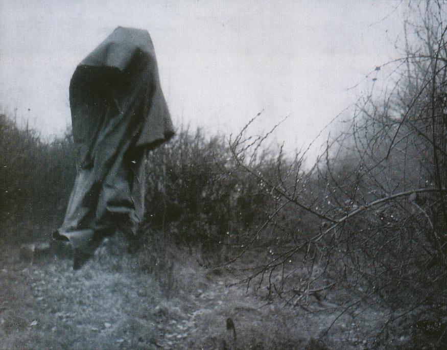 Archillect ID 370503