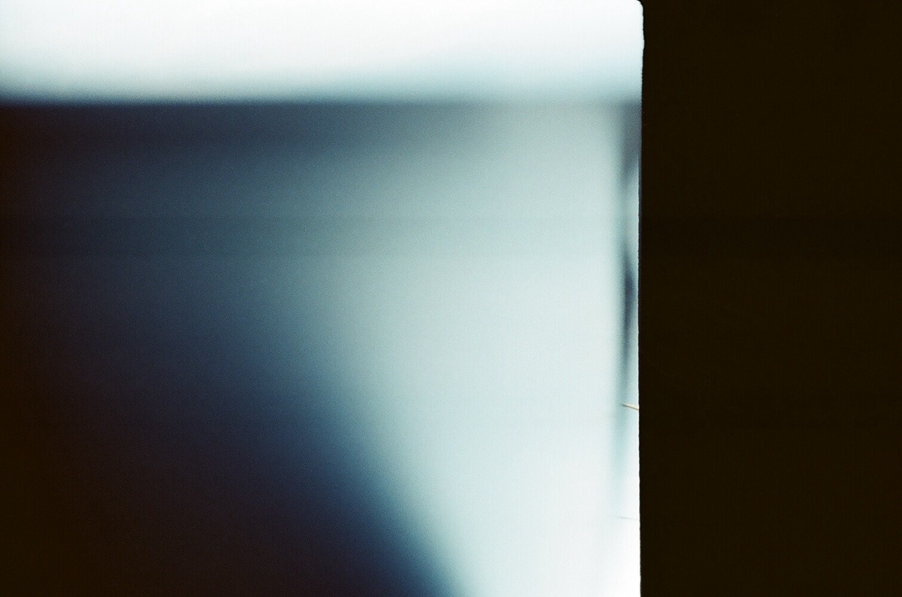 Archillect ID 370516