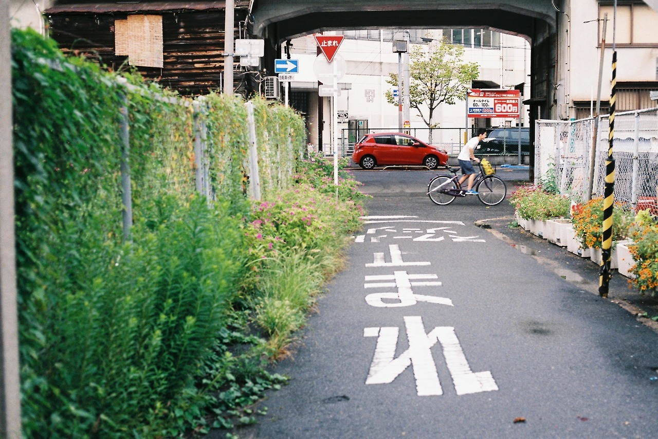 Archillect ID 370535