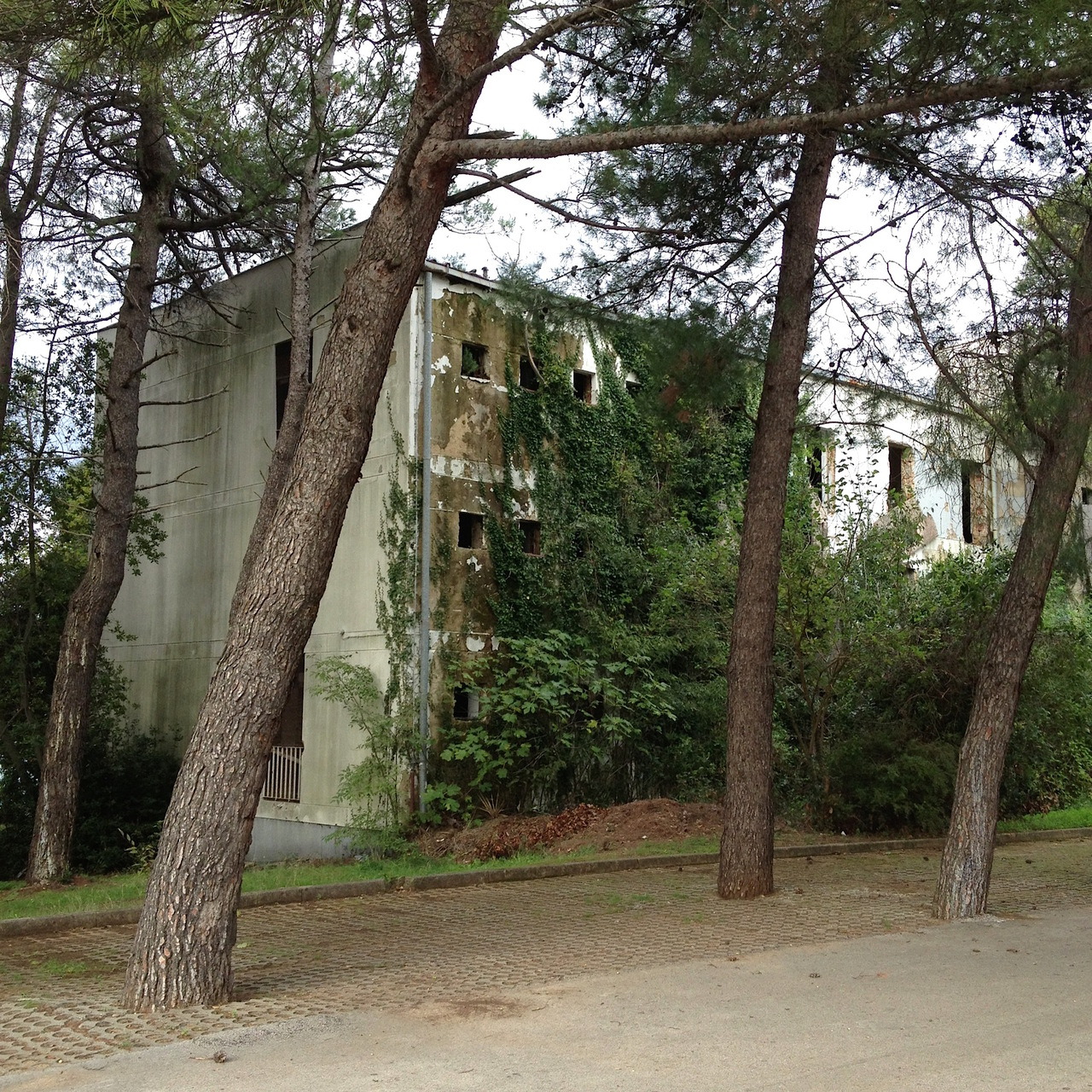 Archillect ID 370587