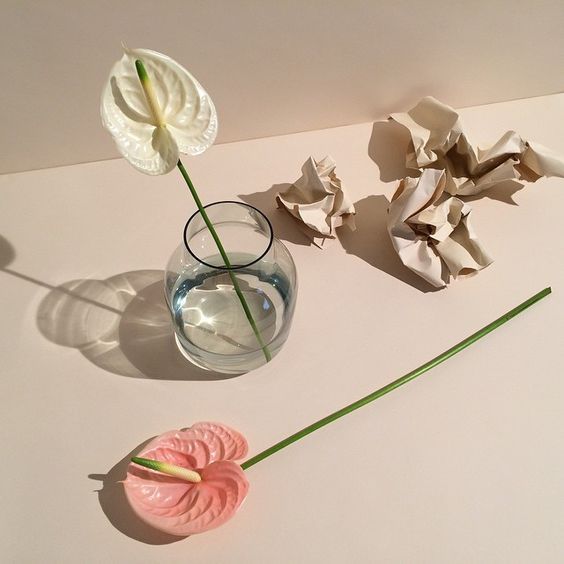 Archillect ID 370619