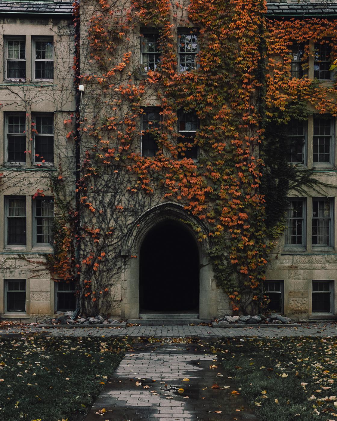 Archillect ID 370626