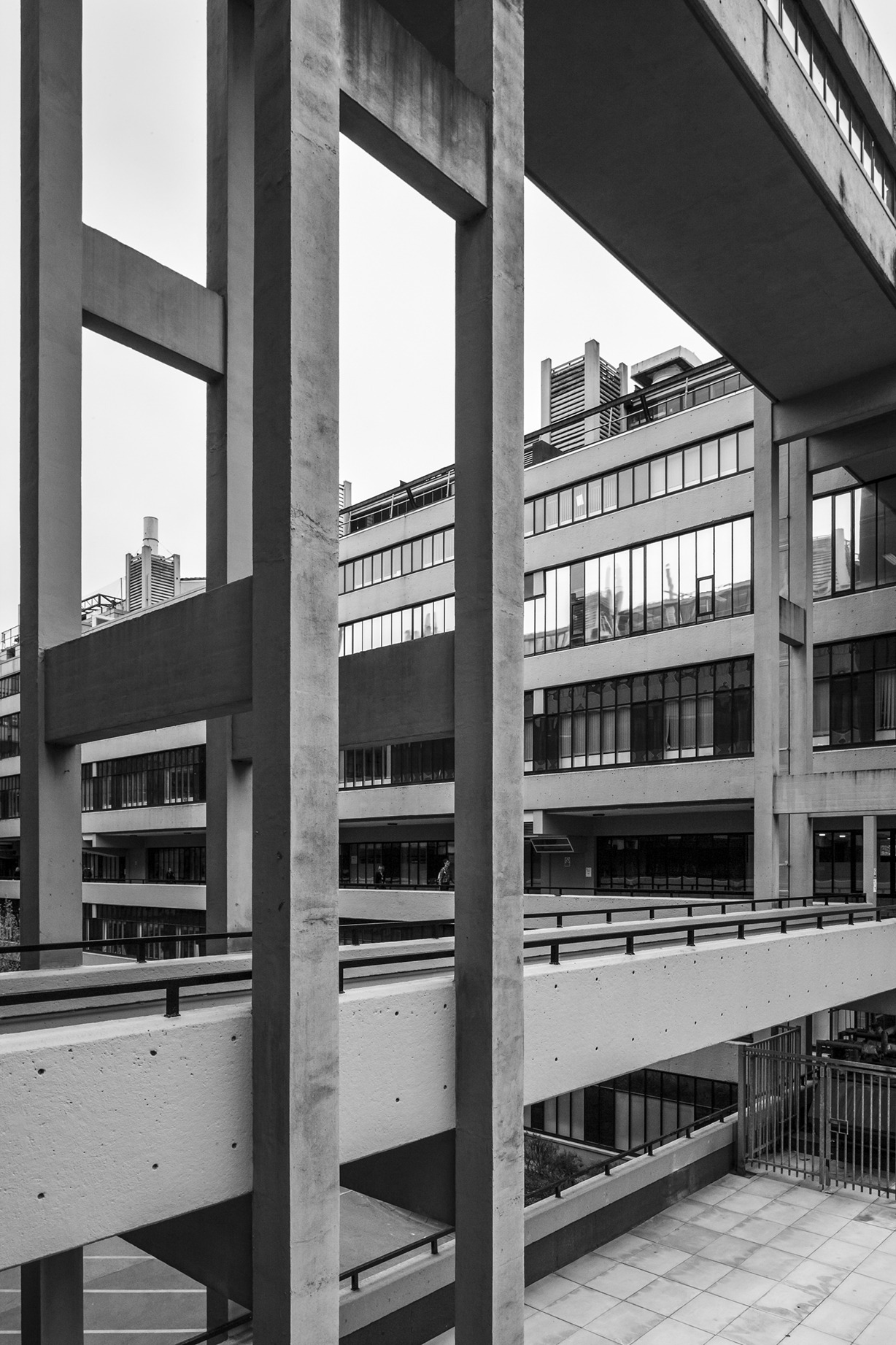 Archillect ID 370627