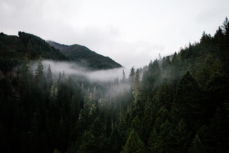 Archillect ID 370734