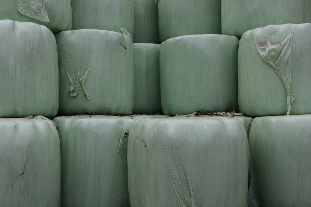 Archillect ID 370742