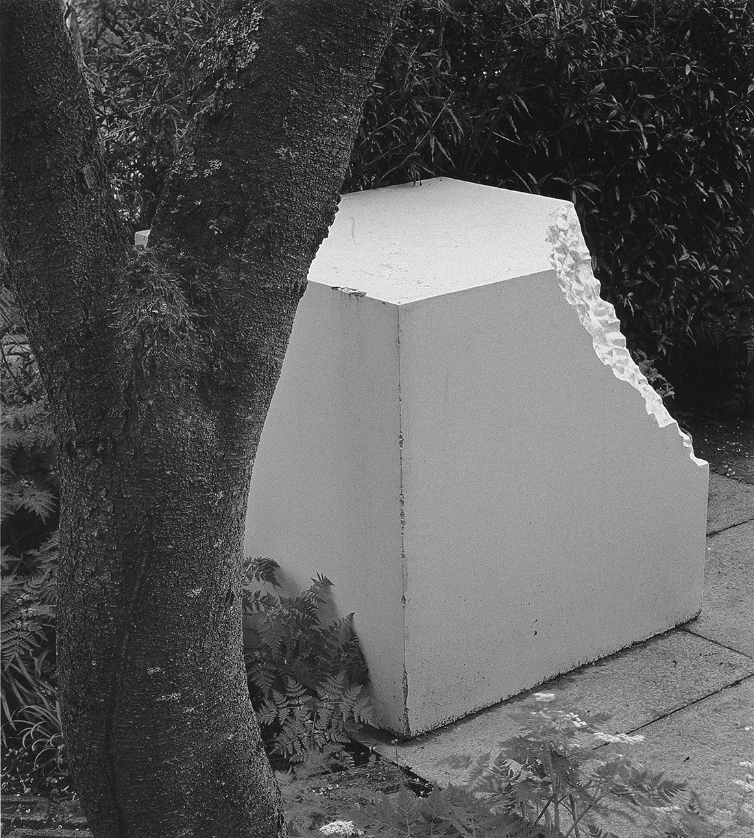 Archillect ID 370805