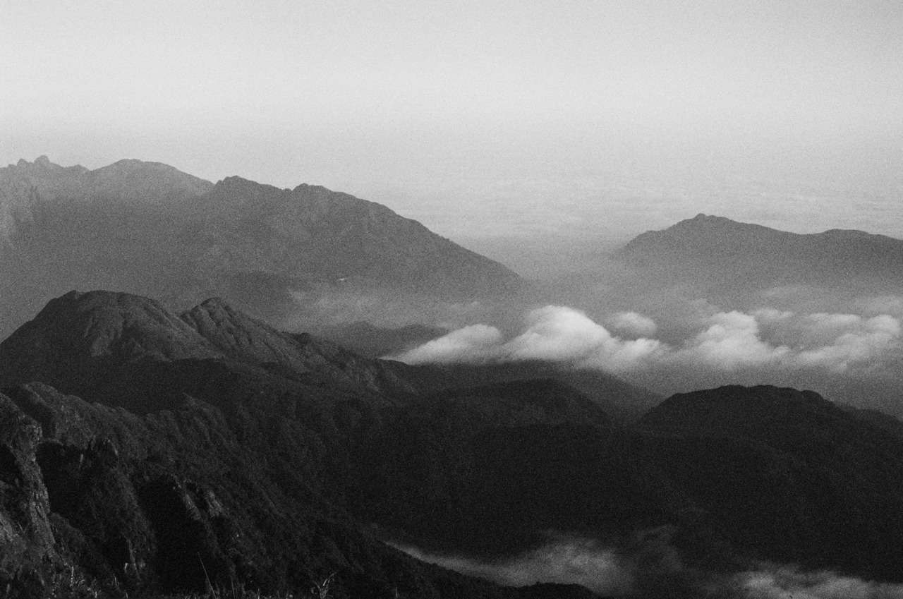 Archillect ID 370807