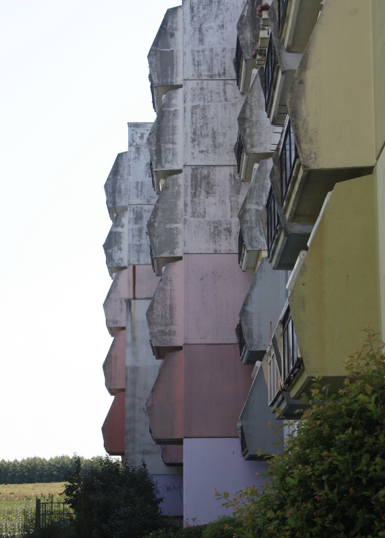 Archillect ID 370817