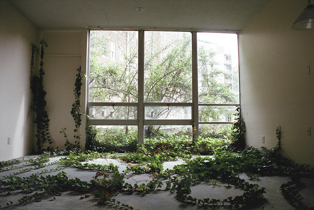 Archillect ID 370825