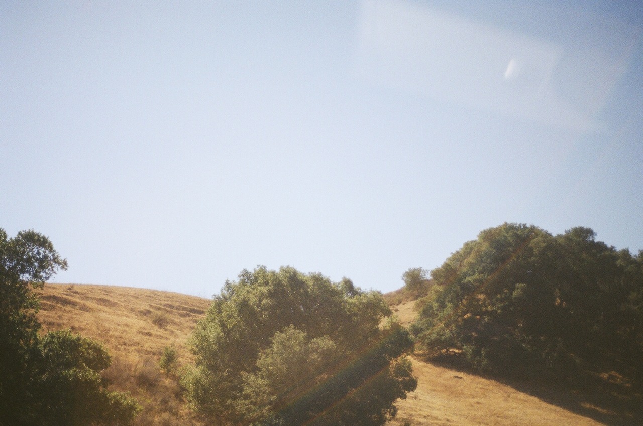 Archillect ID 370834