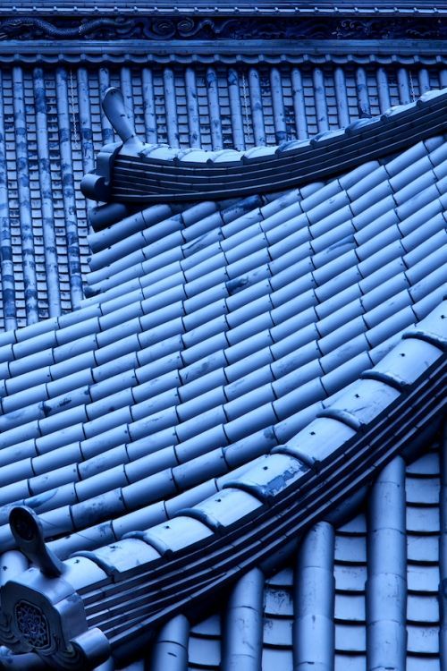 Archillect ID 370837