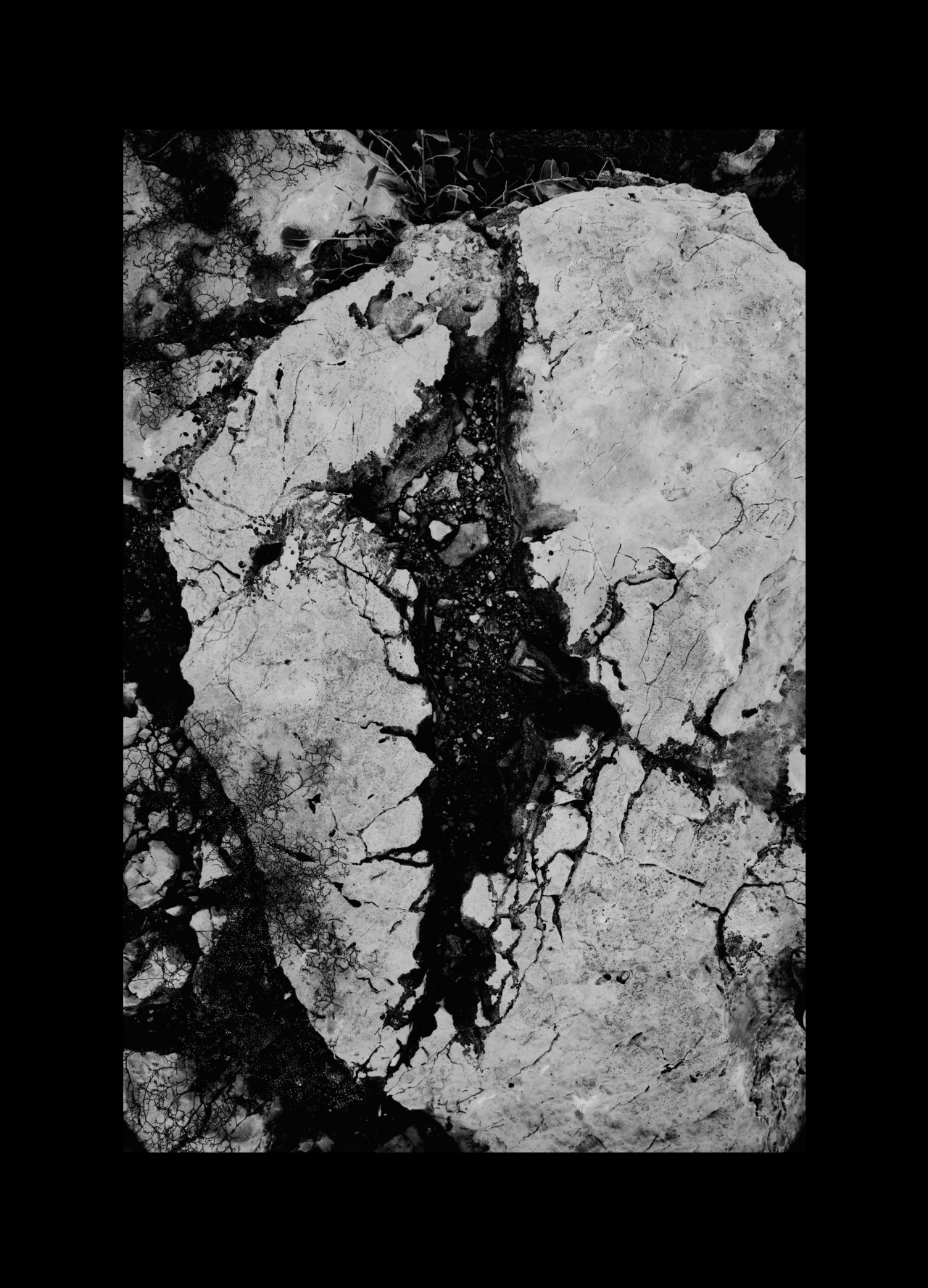 Archillect ID 370844