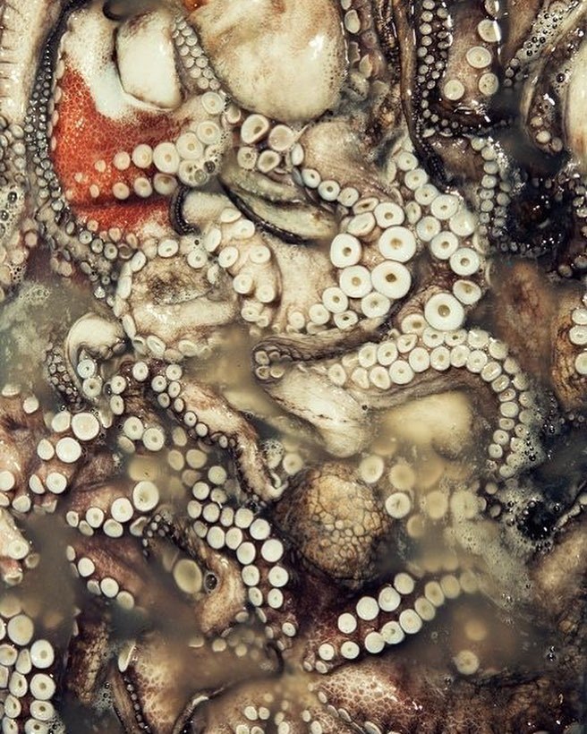 Archillect ID 370871