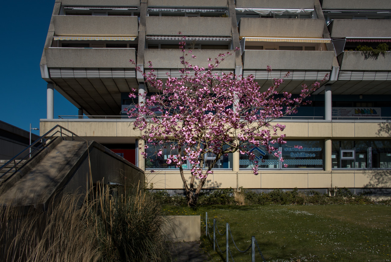 Archillect ID 370890