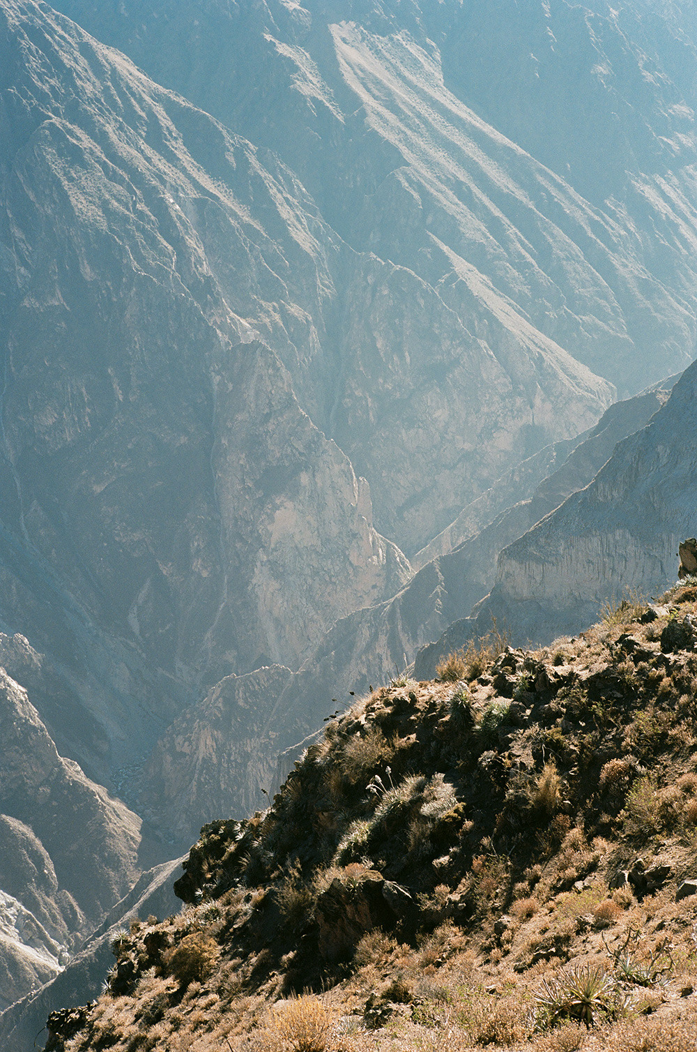 Archillect ID 370965