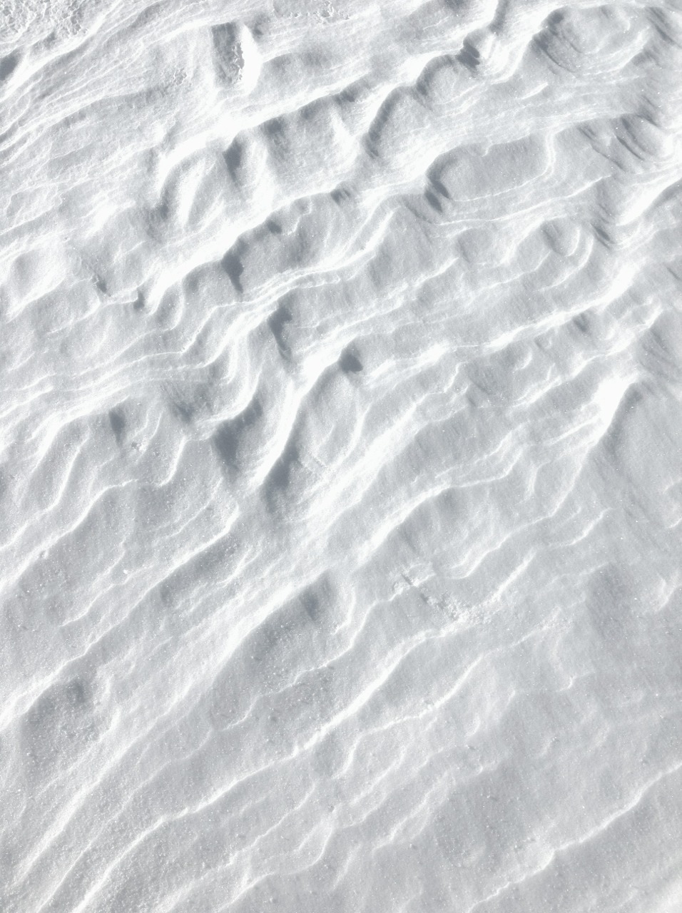 Archillect ID 370970