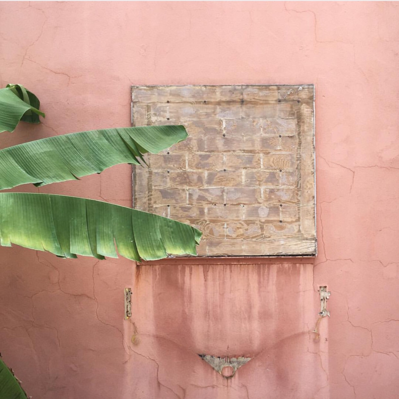 Archillect ID 370972