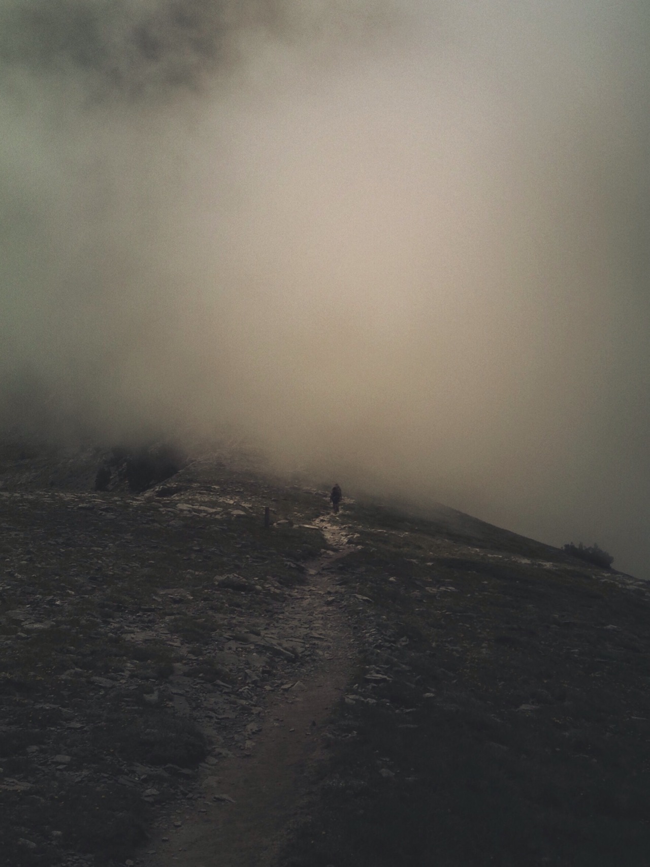 Archillect ID 371001